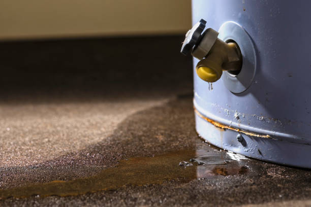 Best Professional water damage repair  in Flower Hill, MD