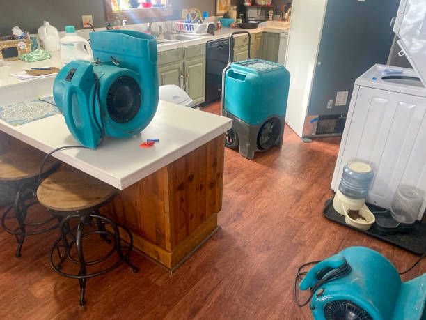 Best Water damage restoration near me  in Flower Hill, MD