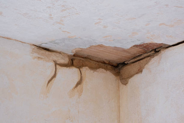 Best Flood damage cleanup  in Flower Hill, MD