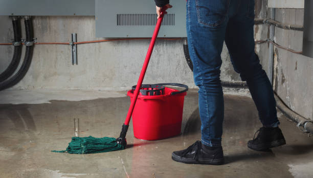 Best Carpet water damage restoration  in Flower Hill, MD