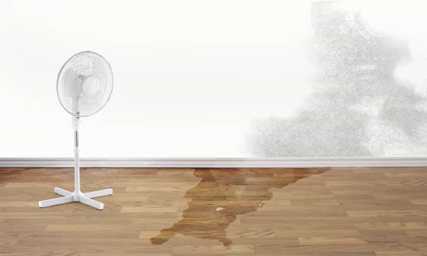 Flower Hill, MD Water damage restoration Company
