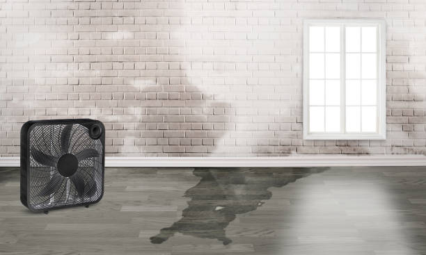 Best Flood restoration services  in Flower Hill, MD