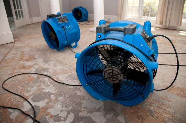 Carpet water damage restoration in Flower Hill, MD