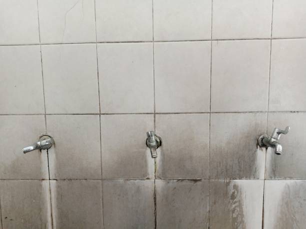 Best Residential water damage restoration  in Flower Hill, MD