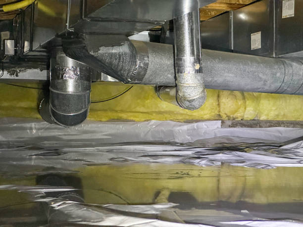 Best Flooded house restoration  in Flower Hill, MD
