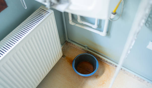 Best Basement water damage restoration  in Flower Hill, MD