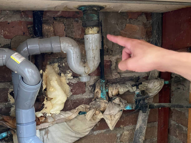 Best Water damage restoration mold remediation  in Flower Hill, MD