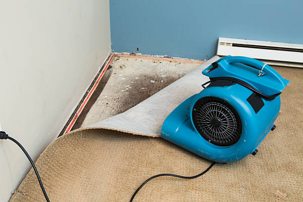 Best Mold removal after water damage  in Flower Hill, MD
